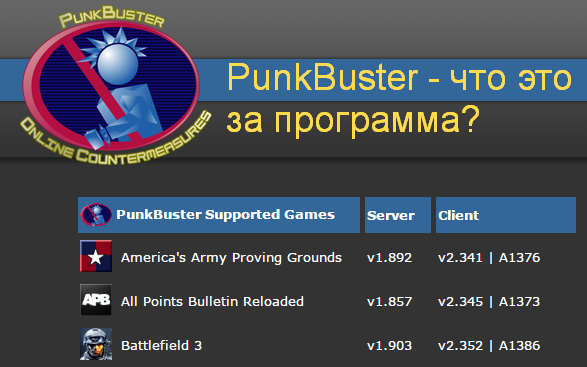 Punkbuster kicked player