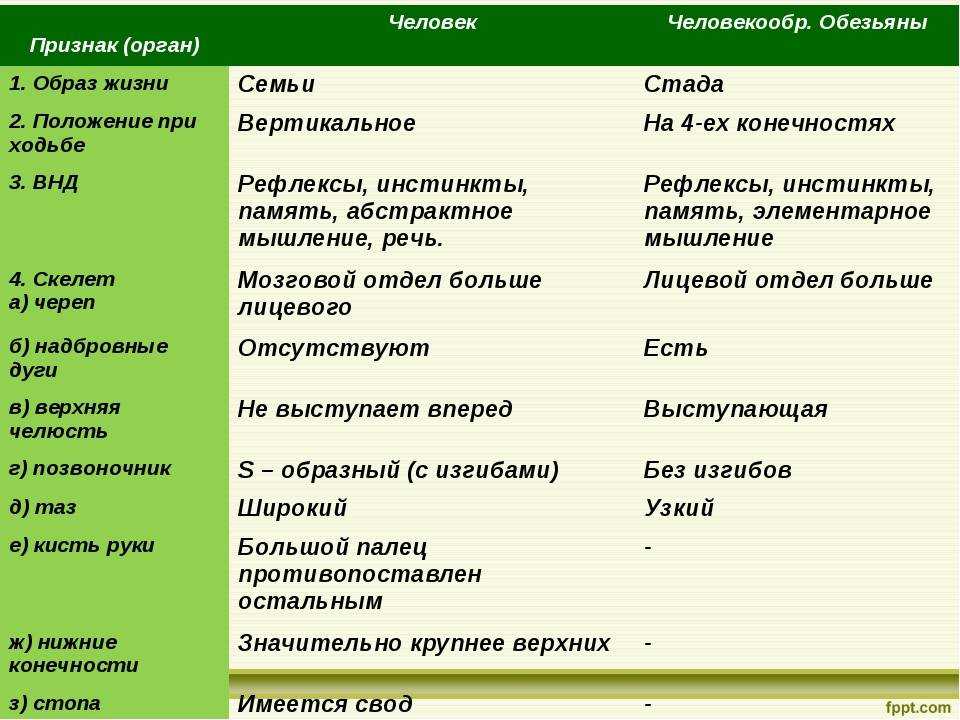 Топ-11: как заработать подростку деньги  12, 13, 14 лет с нуля [2023]