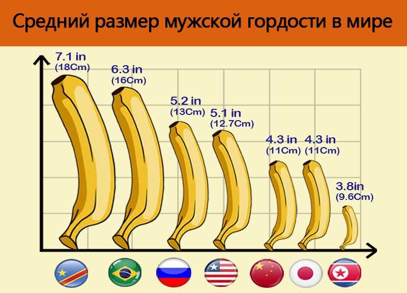 Самые высокие люди на земле за всю историю + видео