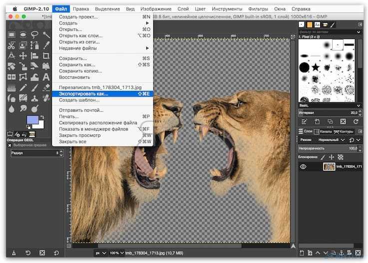 Как сделать прозрачный фон в gimp. пошаговая инструкция