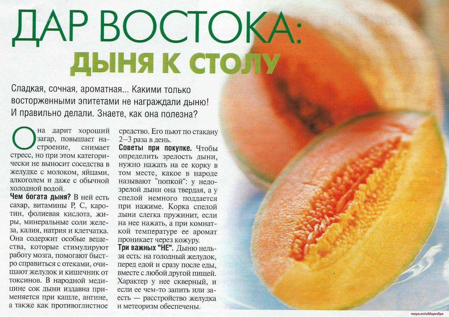 Самые скороспелые сорта дыни для дачи
