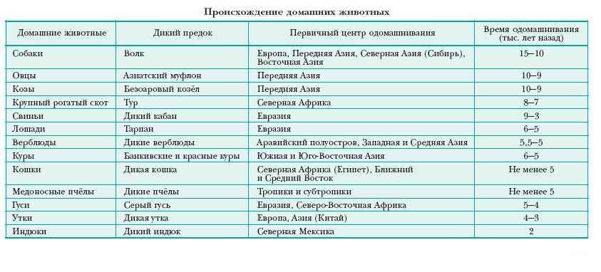 История окультуривания дикорастущих растений человеком - ogorodexp.ru