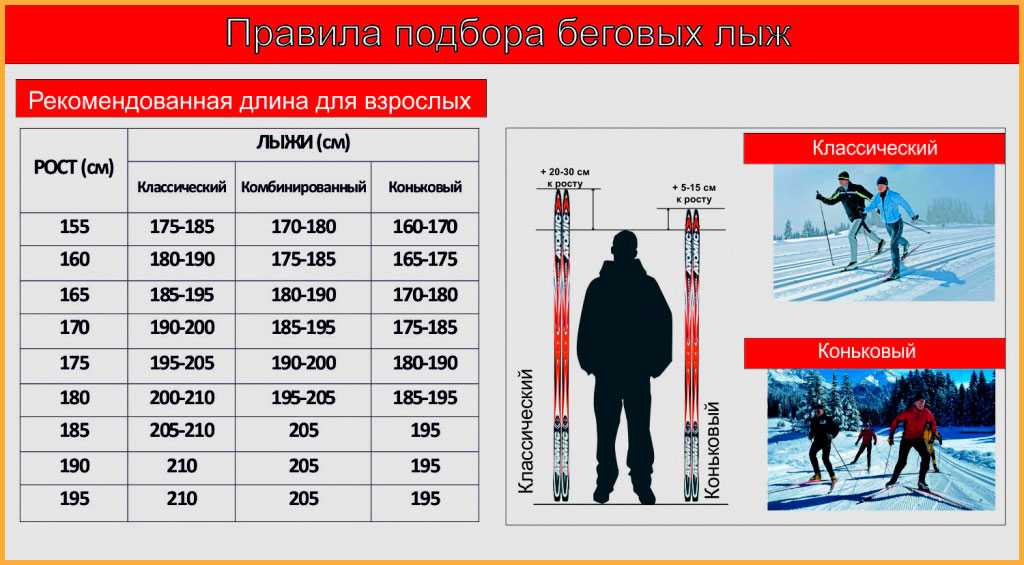 Выбираем лучшие беговые лыжи на 2023 год