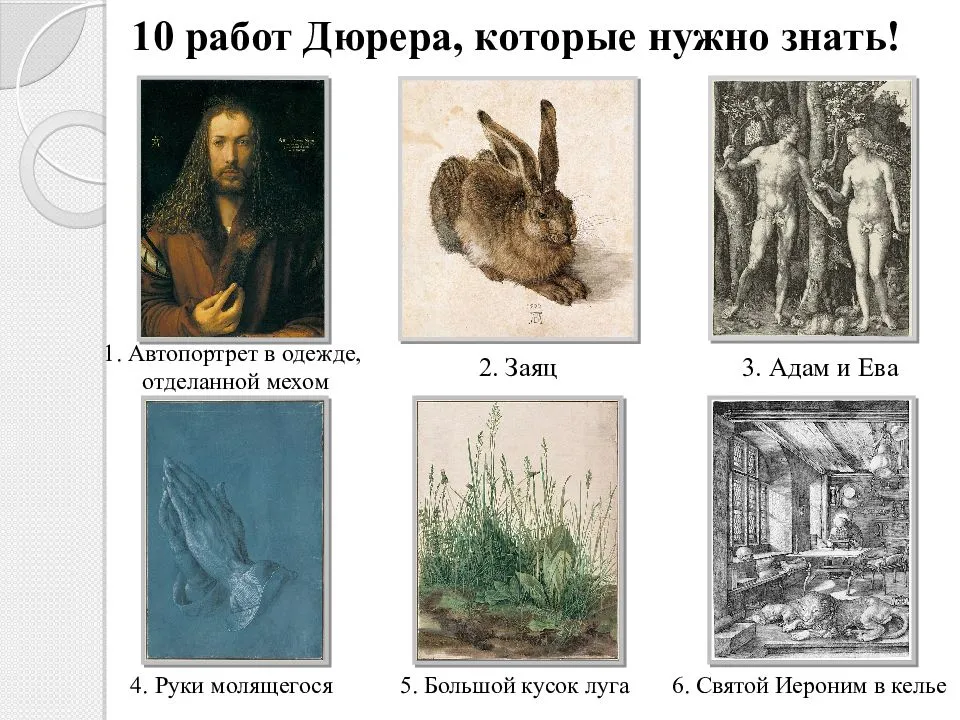 Альбрехт дюрер: жизнь и творчество художника