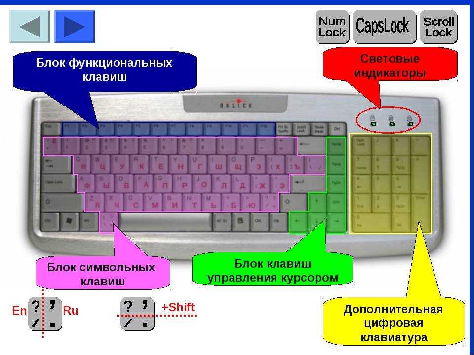 Метод слепой печати: зачем нужно скоропечатание и как научиться быстро печатать вслепую на клавиатуре
