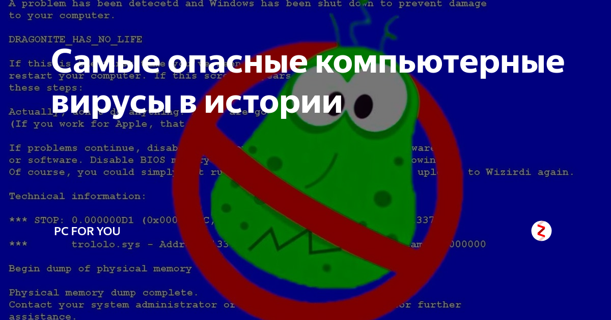 Виды компьютерных вирусов: можно ли от них защититься