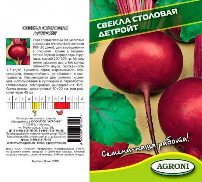 Лучшие сорта свеклы: семена для выращивания в открытом грунте в подмосковье, сибири, средней полосе россии, самые сладкие виды без светлых колец для зимнего хранения