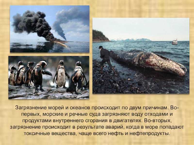 Самые грязные моря в мире и в росии: названия и описания морских водоемов, причины их загрязненности
