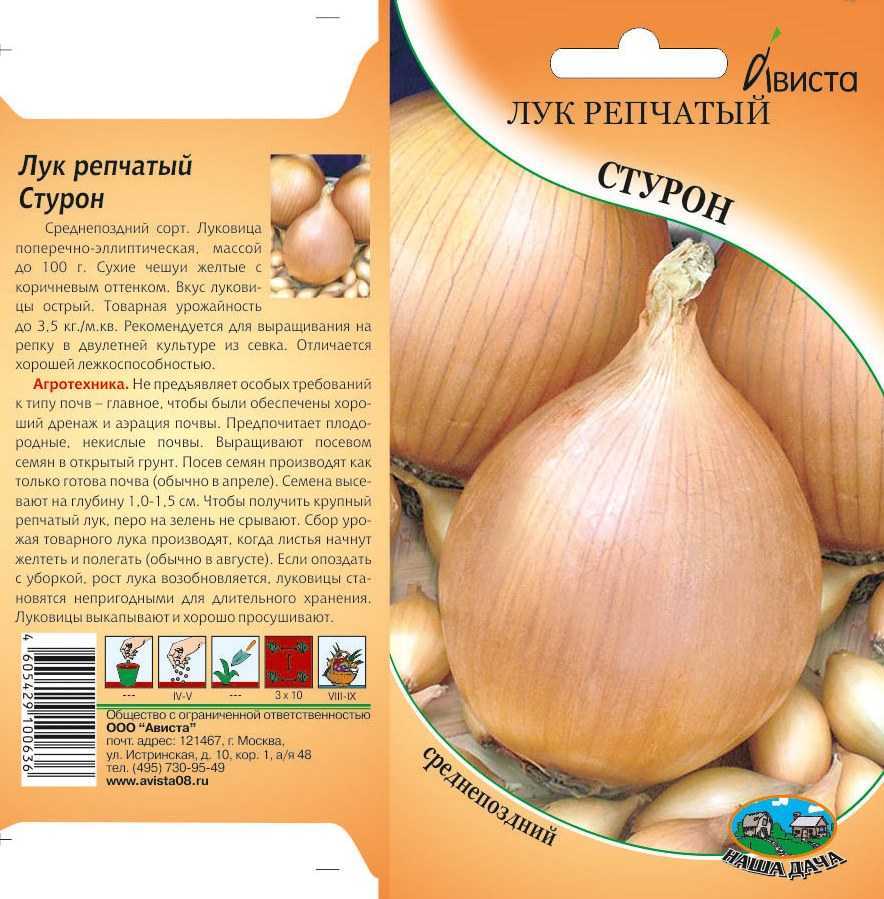 Лучшие сорта красного лука для россии и ее регионов