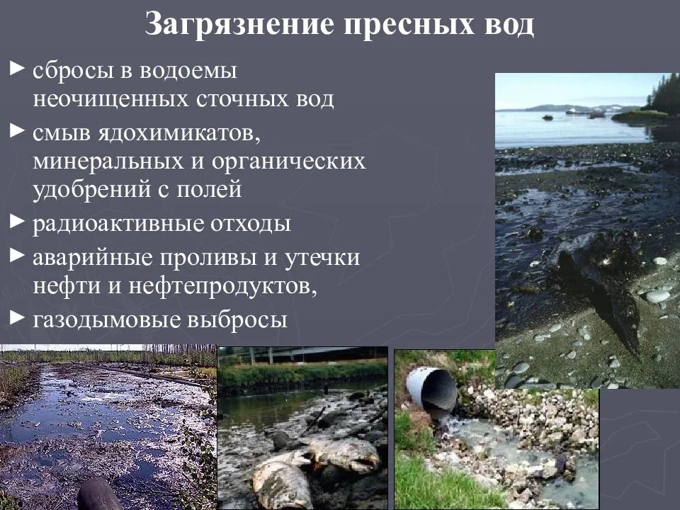 Загрязнение водоемов – основные загрязнители и последствия