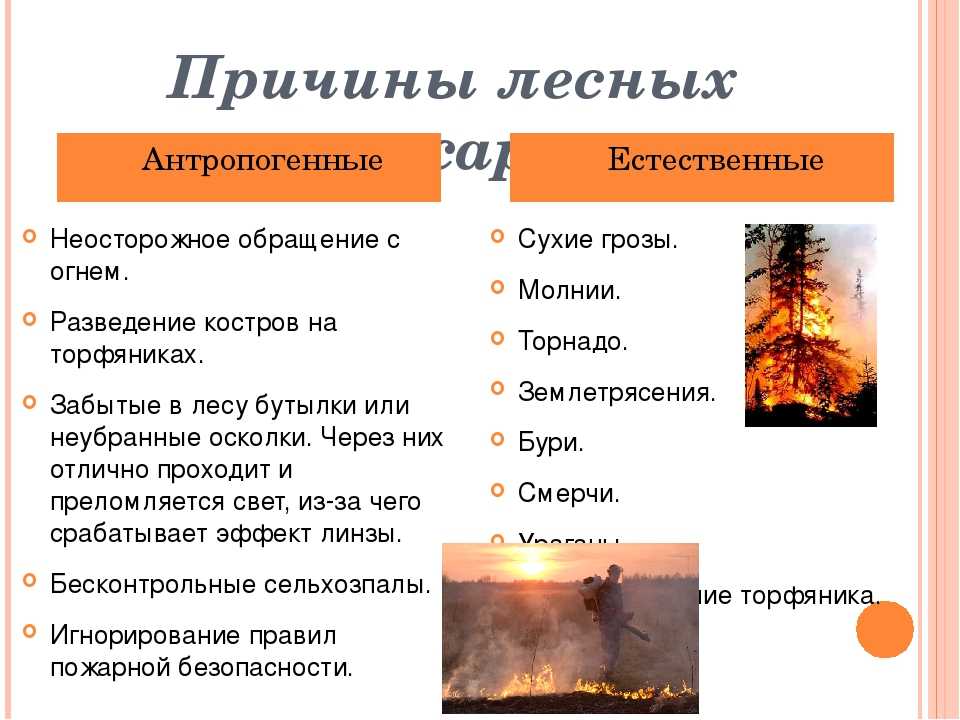 Интересные факты об огне и о пожарах