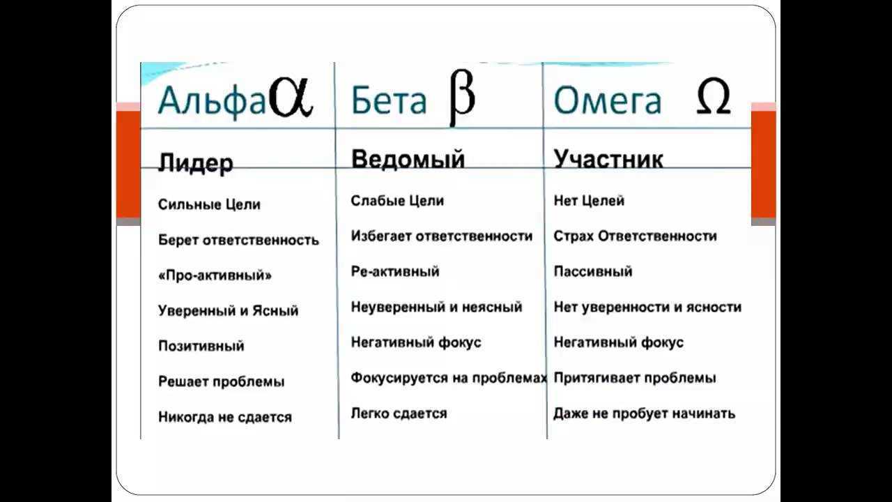Жизненный цикл выпуска программного обеспечения
