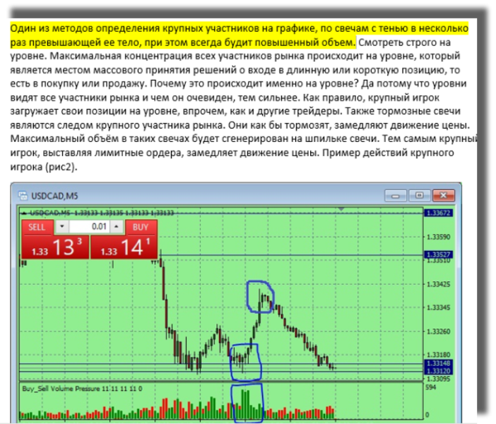 От российских фотобанков до nft-платформ: 5 площадок для заработка на творчестве в 2023 году | rusbase