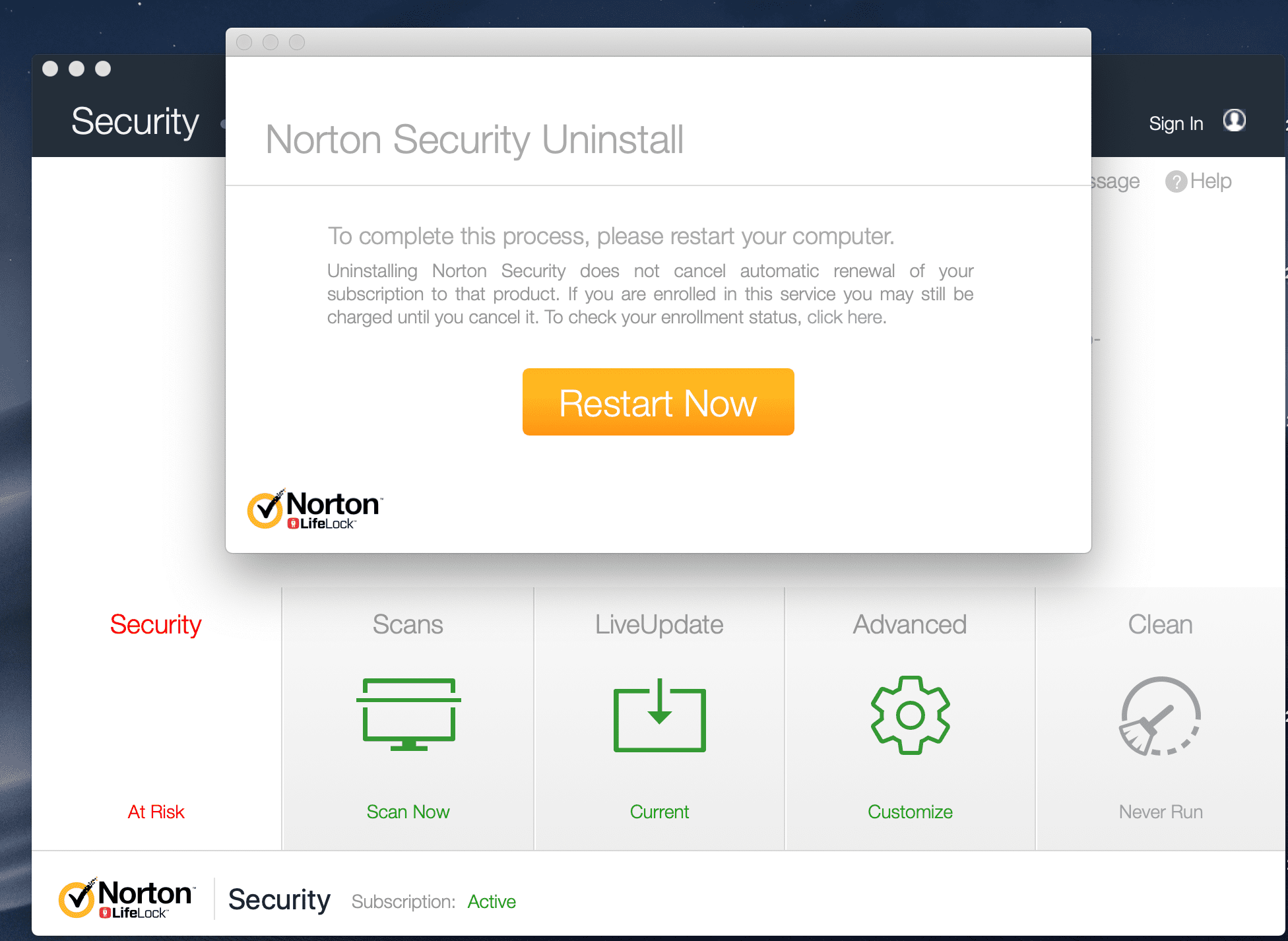 Norton studio что это